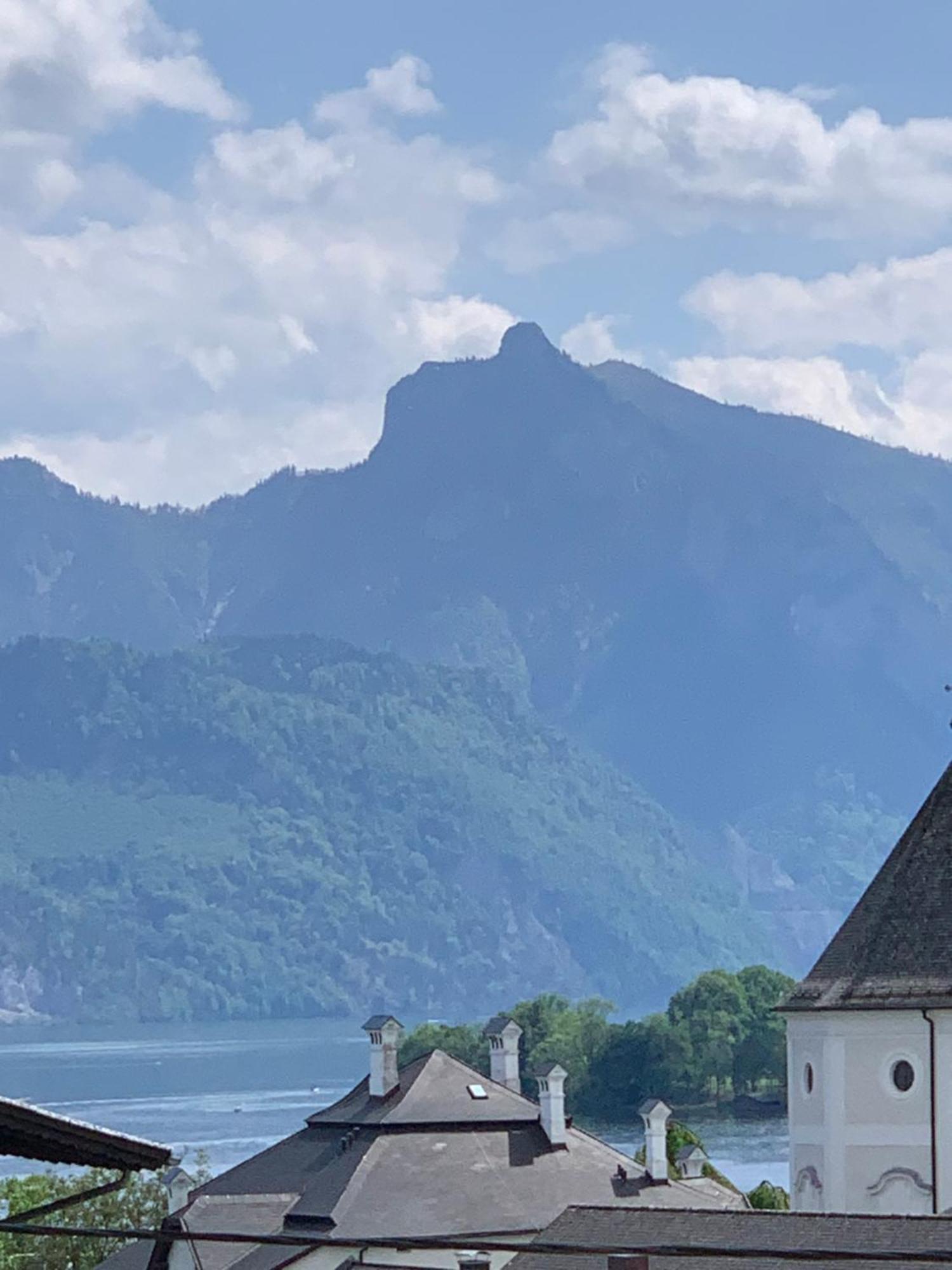 Traum Panorama Apartment Mit Berg & Seeblick Altmünster Eksteriør billede